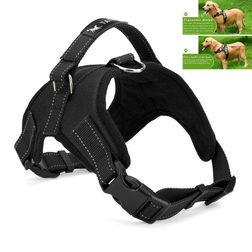 Padded Chest Strap Heavy Duty with Handle Comfortable - Ur World Services 