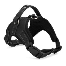 Padded Chest Strap Heavy Duty with Handle Comfortable - Ur World Services 